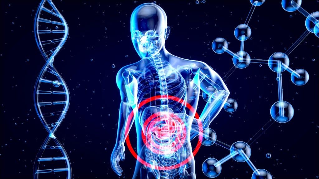Ejercicio físico y microbiota