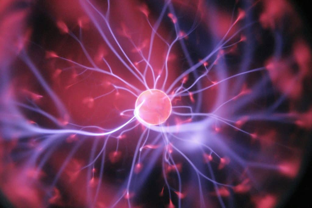 Neuronas y Contracción Muscular: Entrenamiento de Fuerza